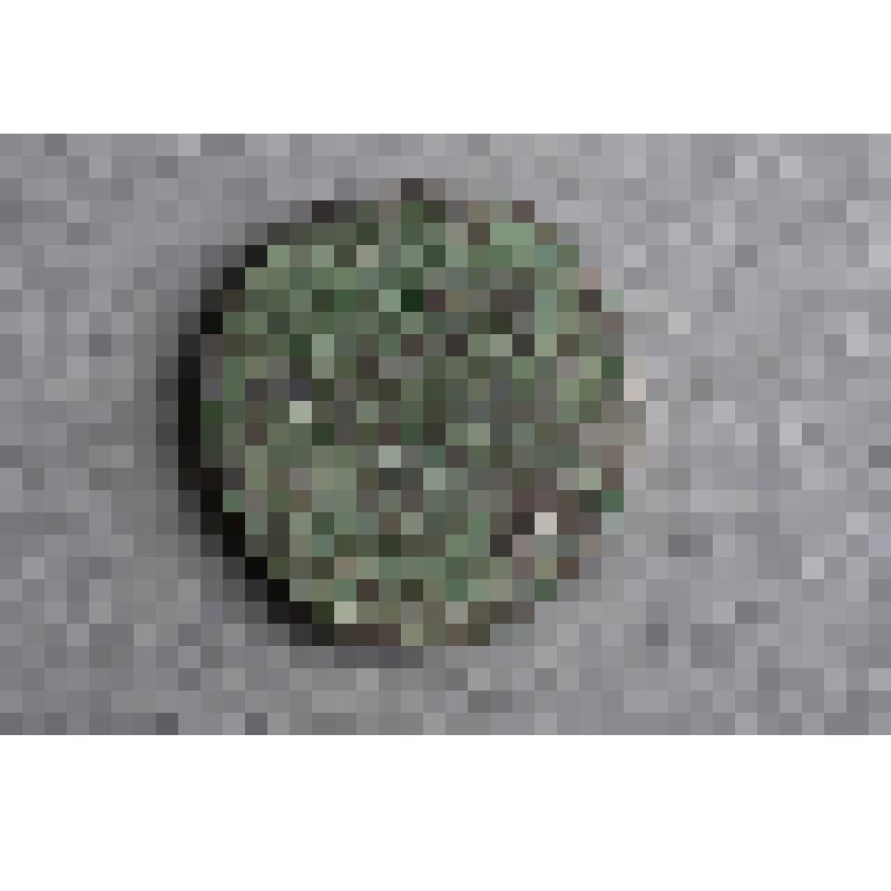 Монета. Денга