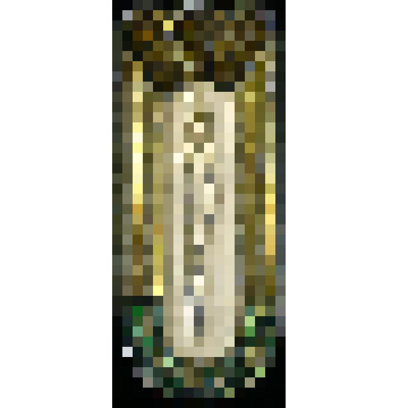 Предмет из коллекции "Спорт"