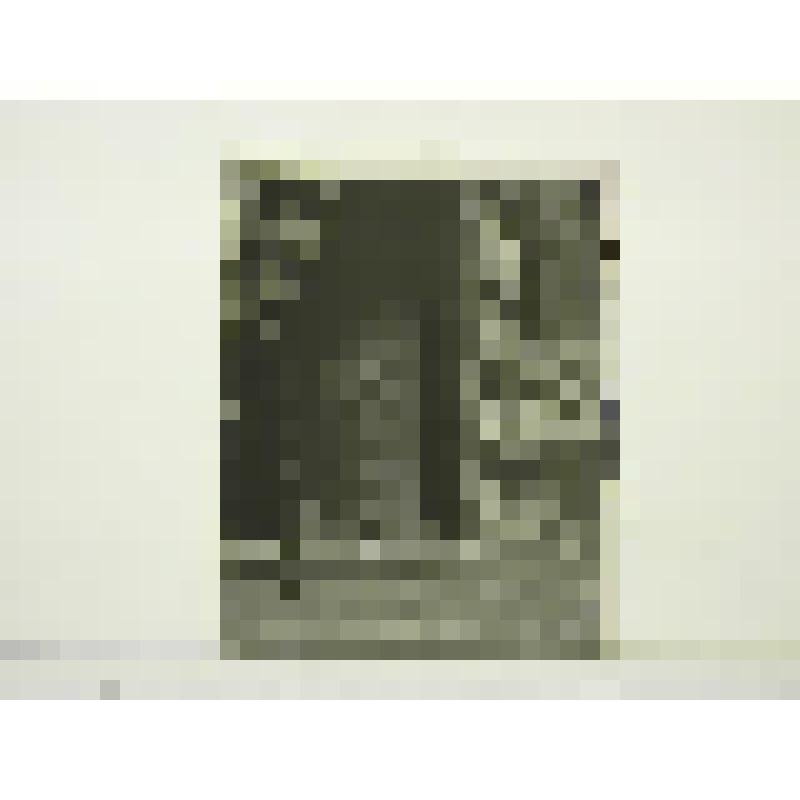 Жилые дома  района "Зюзино", г. Москва. Жилые дома  района "Зюзино" Общий вид