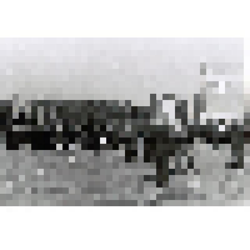 Фотография. Шествие ветеранов 214-й СД по центральной площади г.Кременчуг