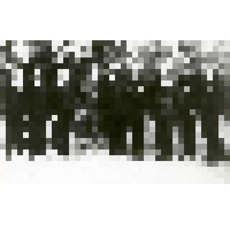 Фотография ч/б. Передовики производства МУ- 20, награжденные правительственными наградами