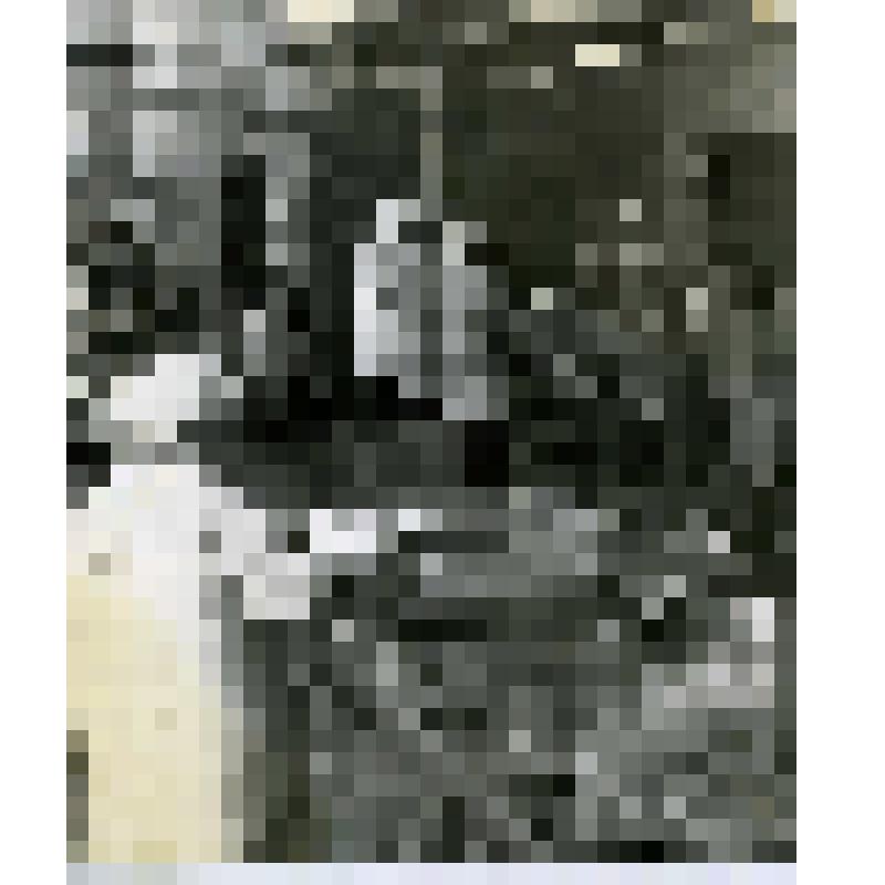 Расфасовочное отделение консервного цеха. Салехардский рыбоконсервный комбинат. Фотография