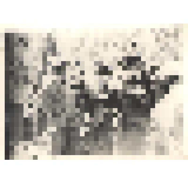 Фотография Воинские почести отдаются Никонову Владимиру Яковлевичу