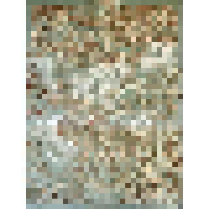 Цветной офорт "Елабуга"