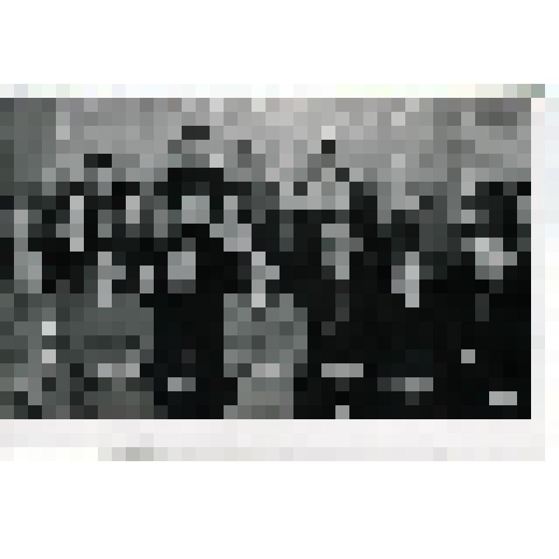 Фотография. Участники совещания музейных работников