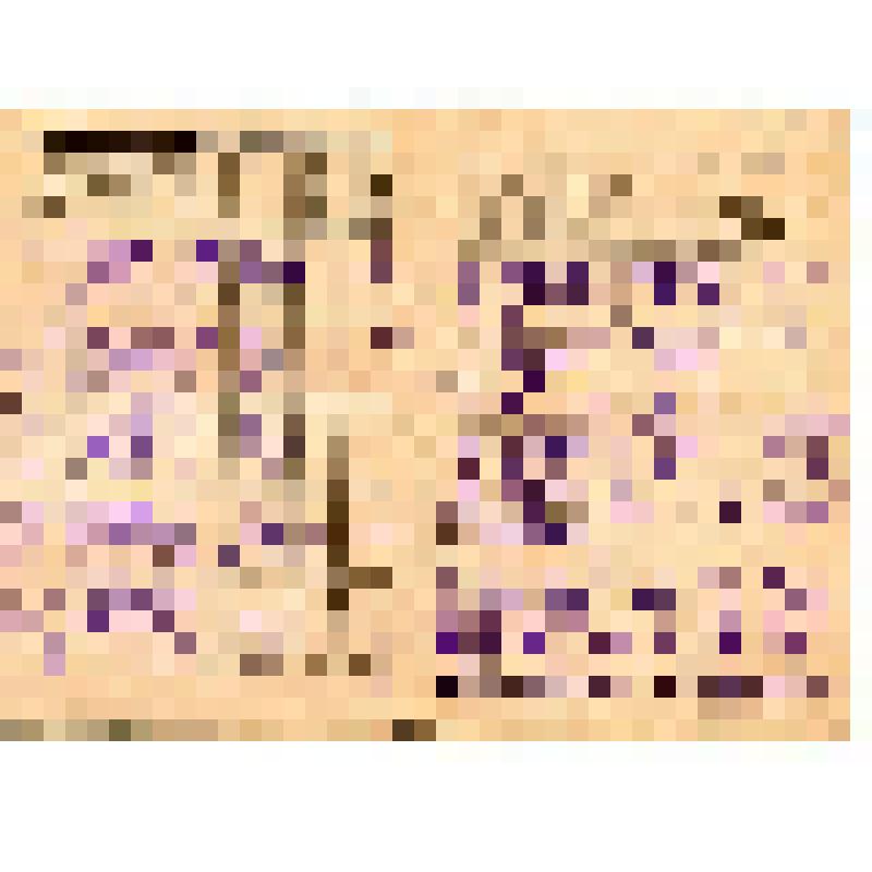 Документ. "Вещевая книжка №104, выданная Ветрову А.Я. 10 февраля 1951 года"