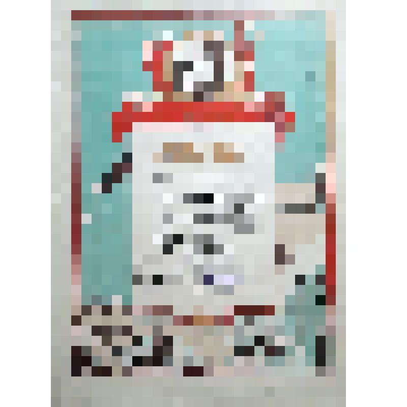 Почетная грамота горкома ВКП(б) и исполкома горсовета депутатов трудящихся, врученная директору завода № 357 Манину Н.И. за умелое руководство коллективом завода в период пребывания завода в г. Омске с сентября 1941 г. по сентябрь 1945 г