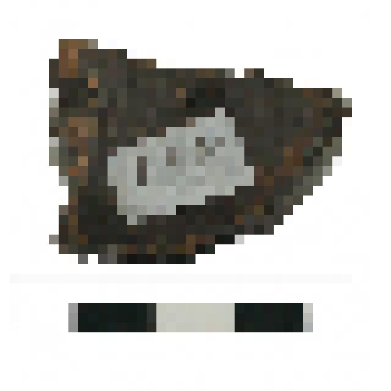 Сосуд. Фрагмент шейки. Памятник Торопово-7