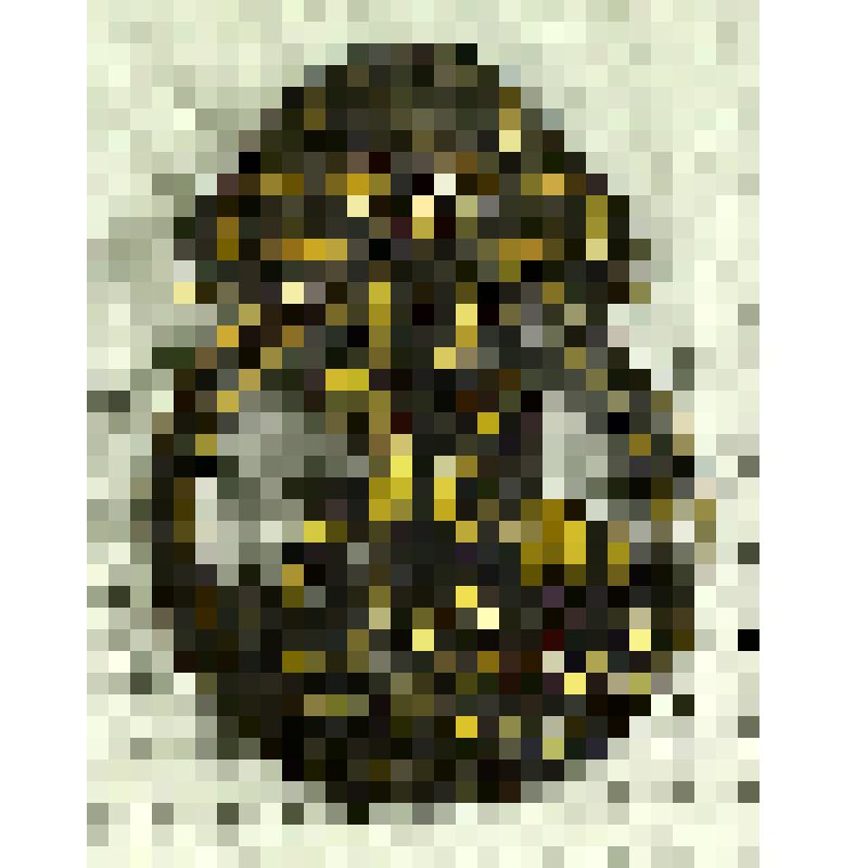 Знак "Союз русского народа"