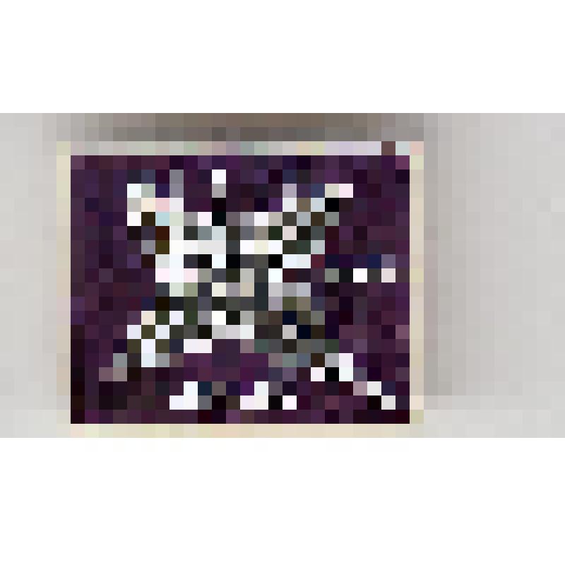 Значок. "Луна-9". "31.I.1966"