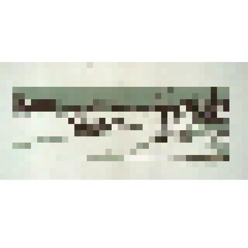 В верховьях Кочечума