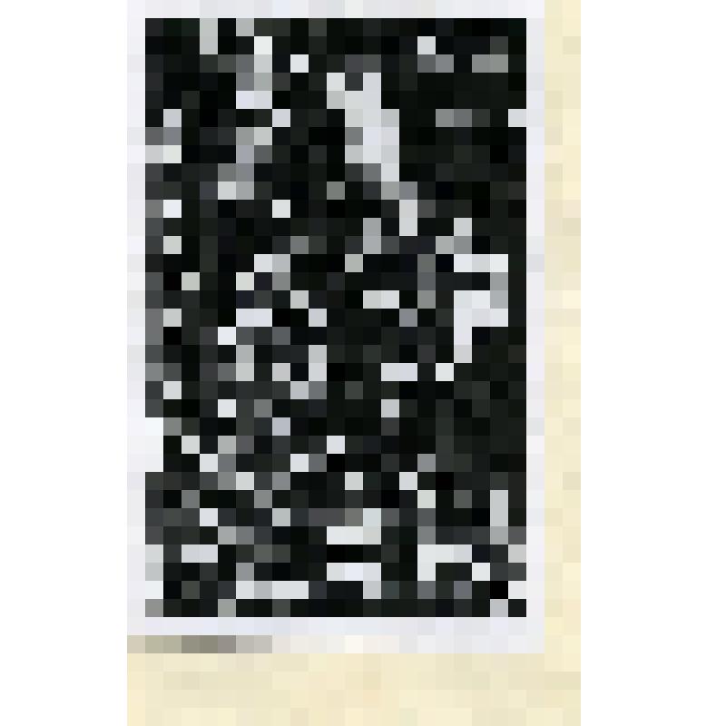 Есениниана Эдуарда Гетманского. Экслибрис