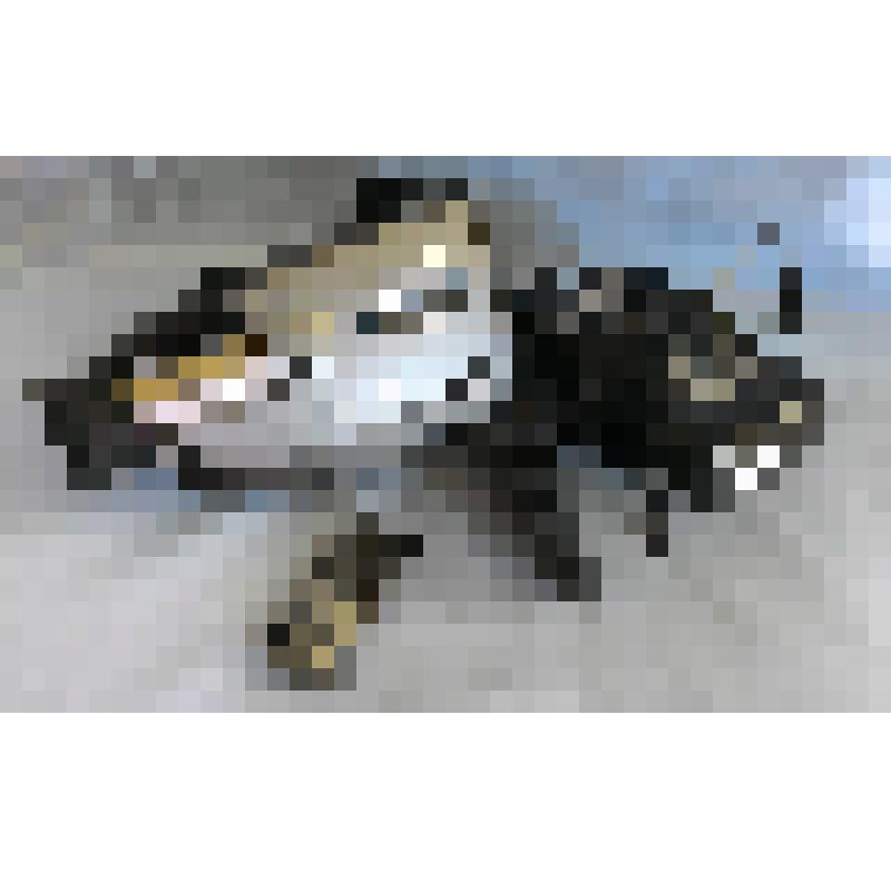 Видеокамера HITACHI, модель VM-Е54Е