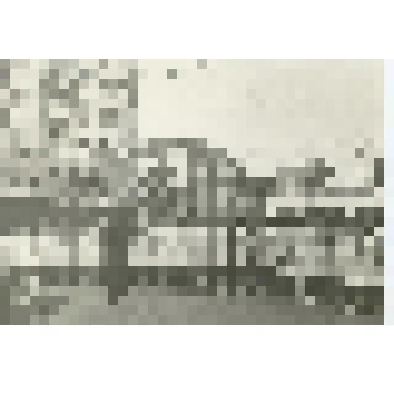 Фотография. Выступление Московского хора молодежи и студентов п/у Б.Г. Тевлина у памятника В.И. Ленину