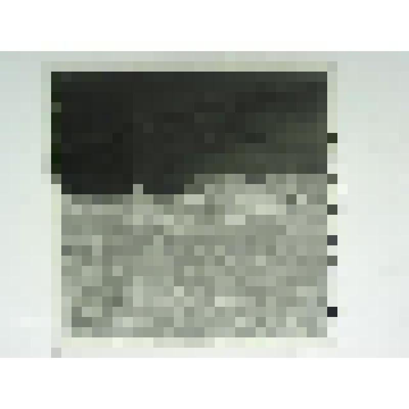 Дом Воронина. Ул. Привокзальная, 1. втор.пол. XIX в. Челябинская  обл., г. Карабаш, пос. Южный (с.Саймоновское). Дом Воронина. Ул. Привокзальная, 1. втор.пол. XIX в. Вид усадьбы со стороны огорода