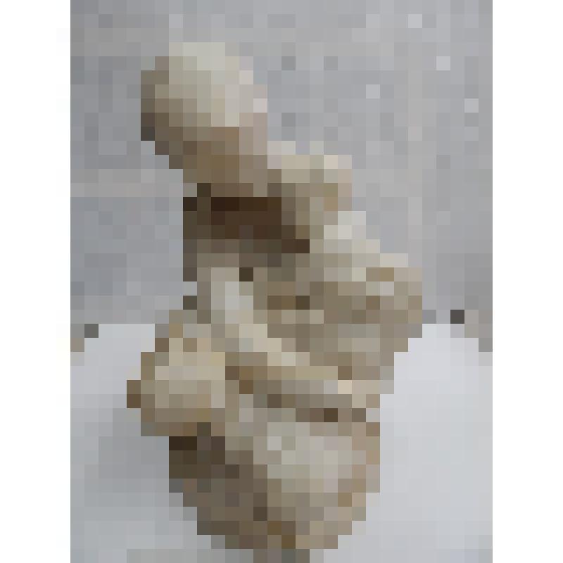 Материнство