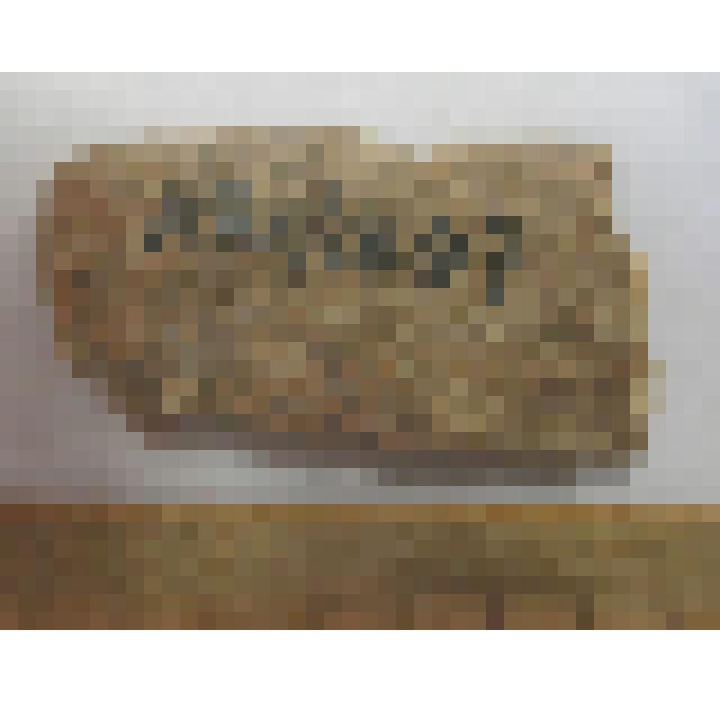 Кость с обработкой