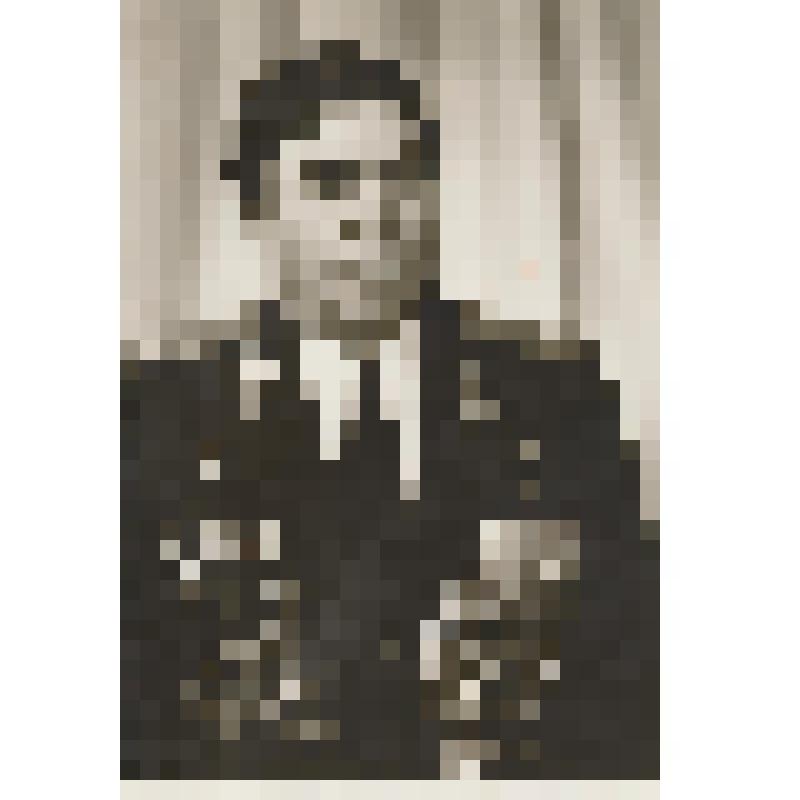 Фотография. Стебунов Владимир Тихонович - гвардии полковник, командир подвижного дивизионного отряда 3й гвардейской стрелковой  дивизии, освобождавшего г. Евпатория от немецко-фашистских захватчиков 13 апреля 1944г