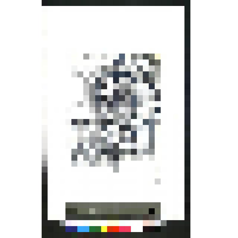 коллекция графики Лагодича В. Ф. Графическая работа "Сосредоточенность"