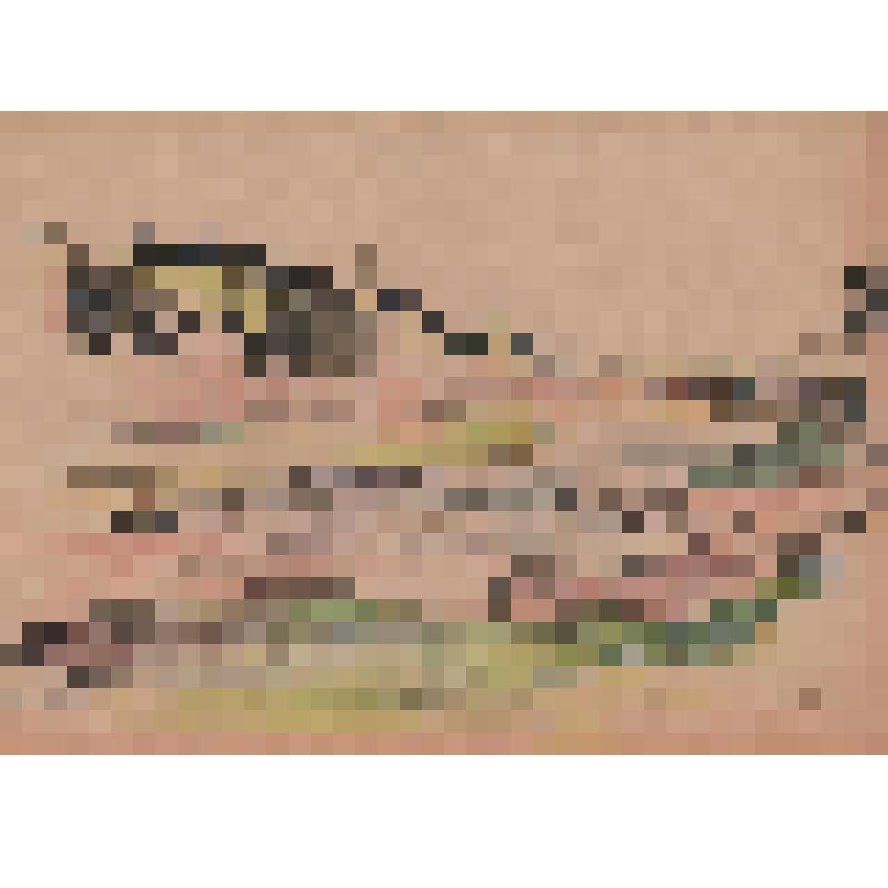 Рисунок. Руза