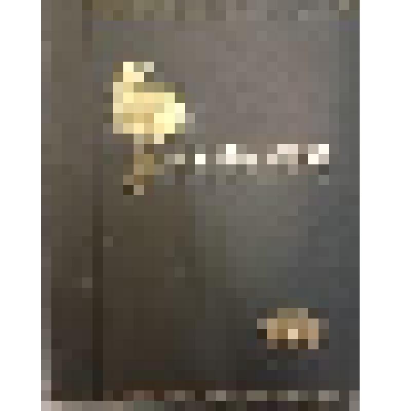 Der Architekt. Wiener Monatshefte für Bauwesen und decorative Kunst, журнал. Wien. Verlag Von Anton Schroll & С°˙ VIII. Jahrgang