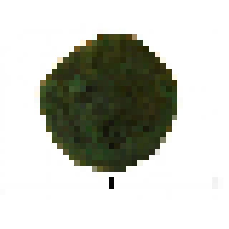 Бляшка