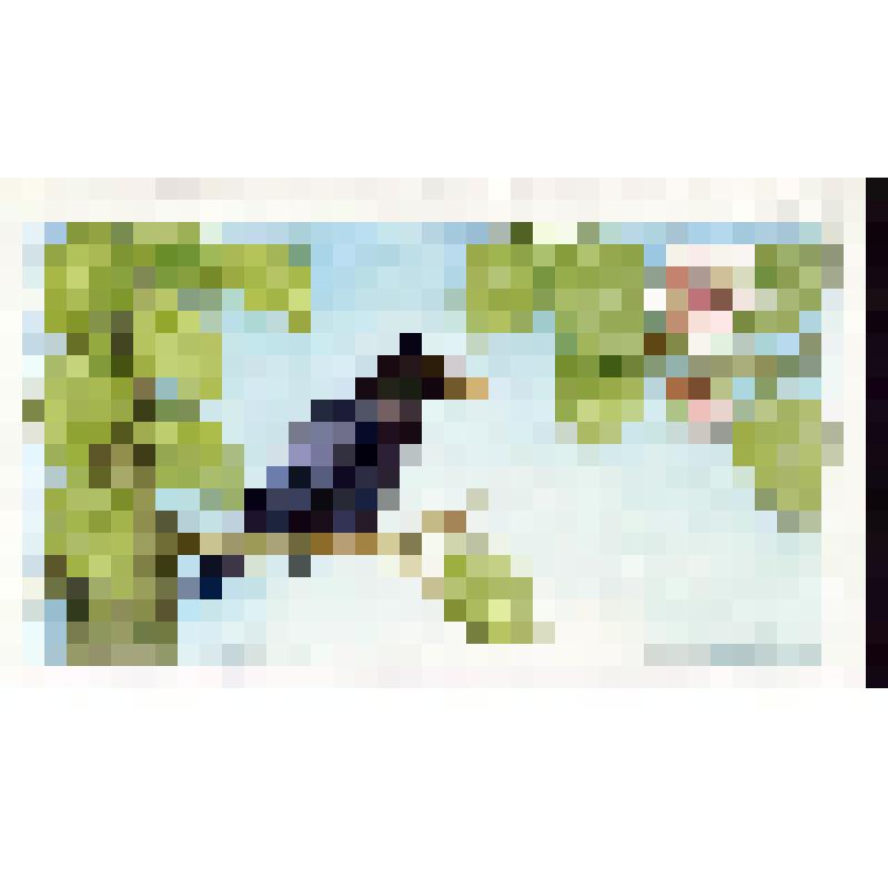 Скворец на ветке (с. 3)