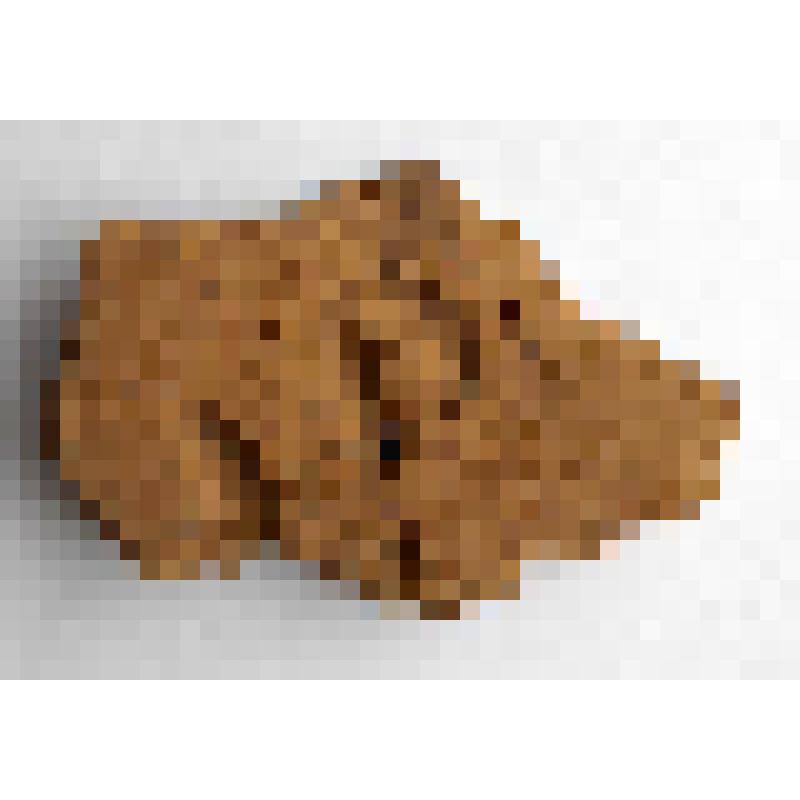 Фрагмент стенки сосуда