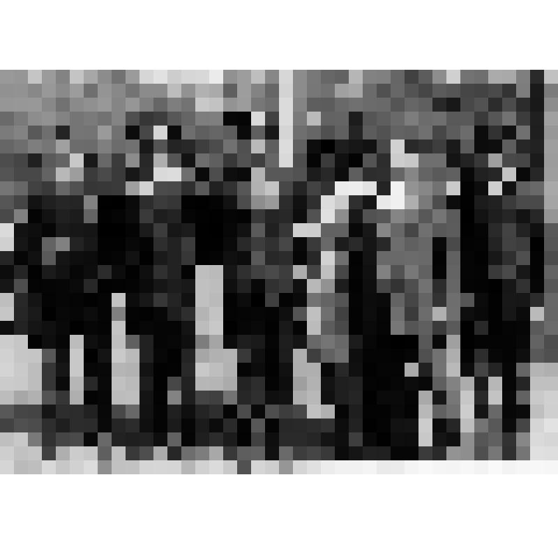 Во время дежурства на демонстрации 7 ноября. Тращенко П.Ф. - второй слева