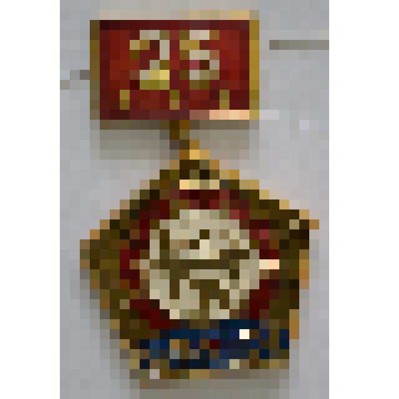 Значок. 25 лет .Курганское ДСУ-1.1949-1974