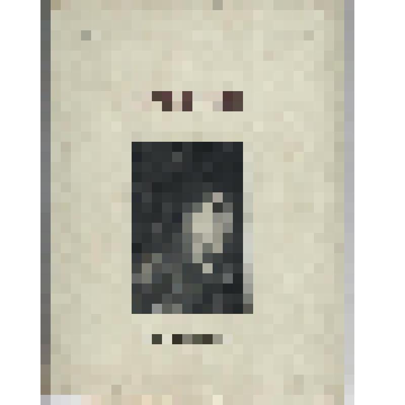 Книга. Путiвник по музею захiдного мистецтва