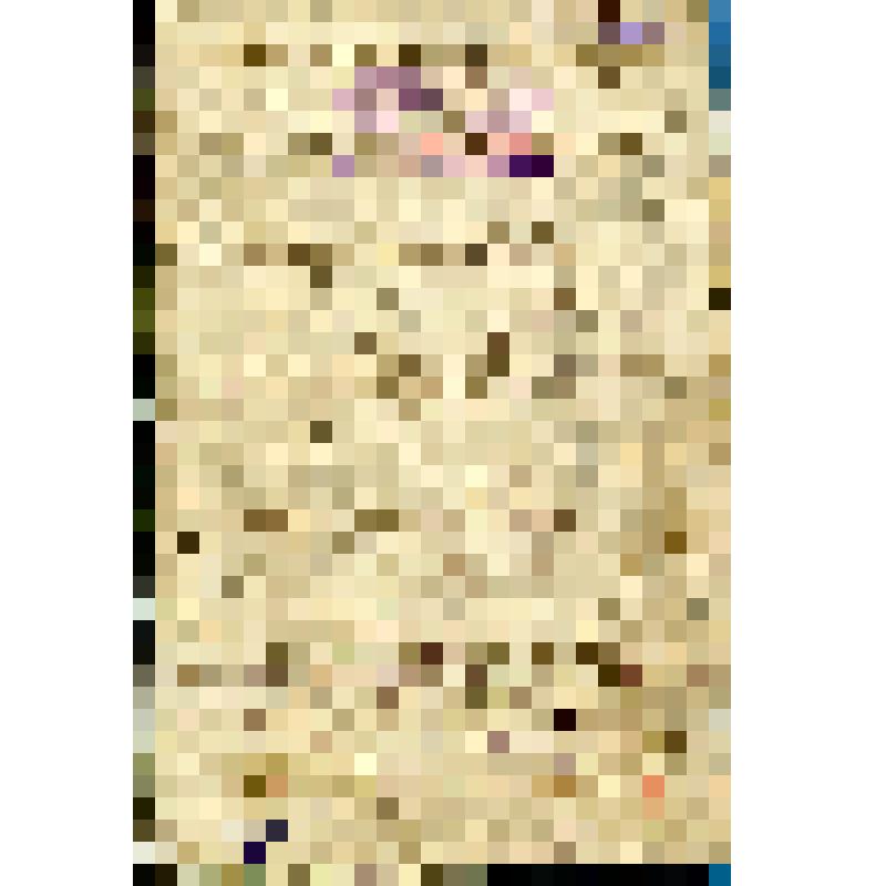 Сборник рукописный, содержит стихотворения и прозаические отрывки, в том числе Н.М. Карамзина, И.И. Козлова и др