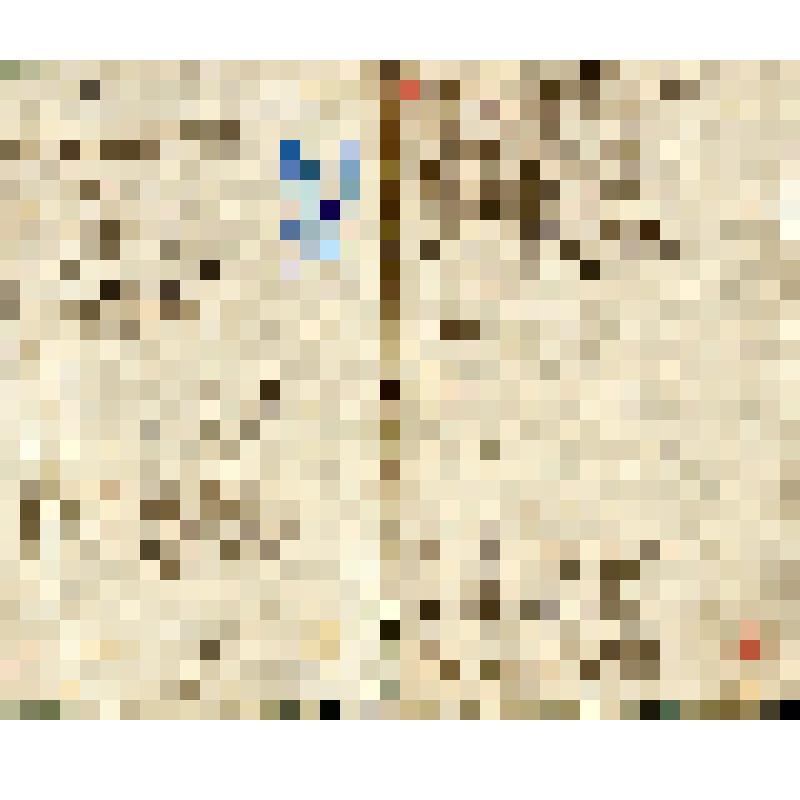 Сборник рукописный, содержит стихотворения и прозаические отрывки, в том числе Н.М. Карамзина, И.И. Козлова и др