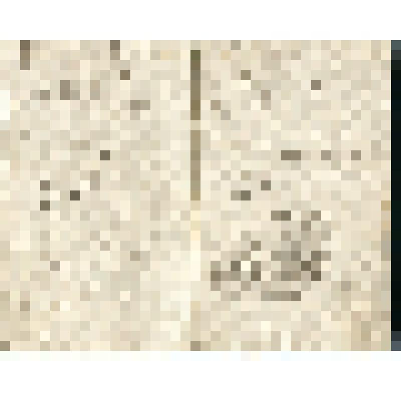 Сборник рукописный, содержит стихотворения и прозаические отрывки, в том числе Н.М. Карамзина, И.И. Козлова и др