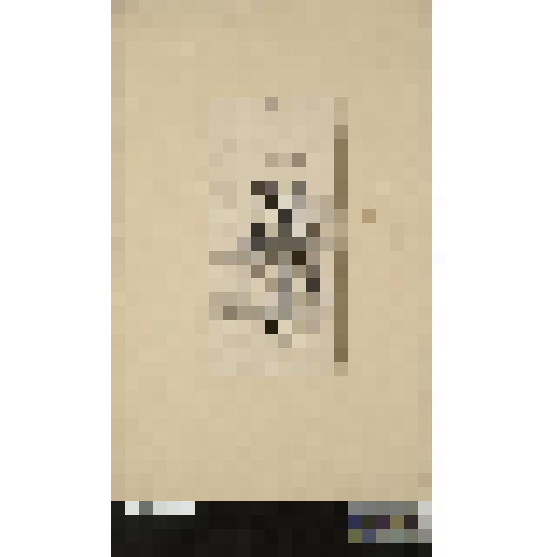 Листы из сюиты воспроизведений выполненных в XIX веке с карикатур XVIII века времени Французской революции "Vieux renties et vieux pensionnaire sur le chemin de Bicetre"