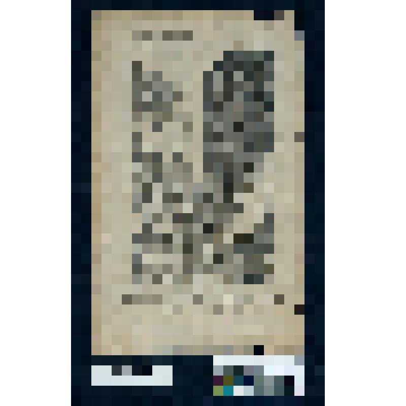 События 19 февраля 1790 г. Наверху "Revolutions de Paris №39. P.29" "Epoque du Vendredi 19 fevrier 1790" Внизу "Le Vendredi 19 Fevrier…retra dans l' ordre"