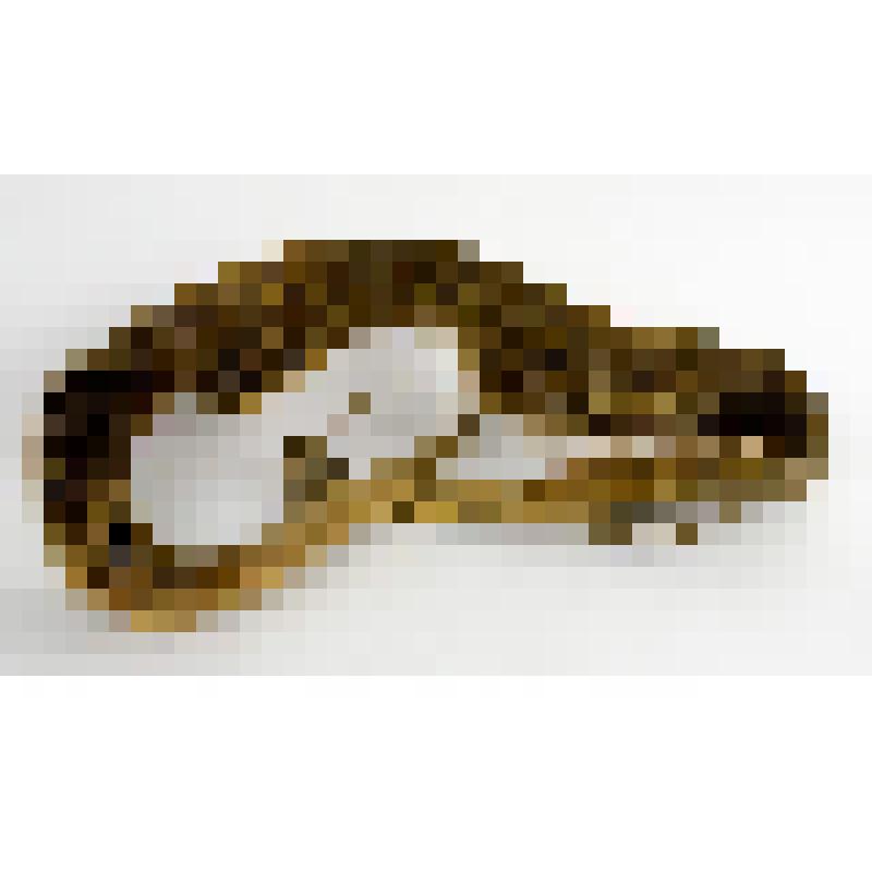 Хомут  пристяжного оленя