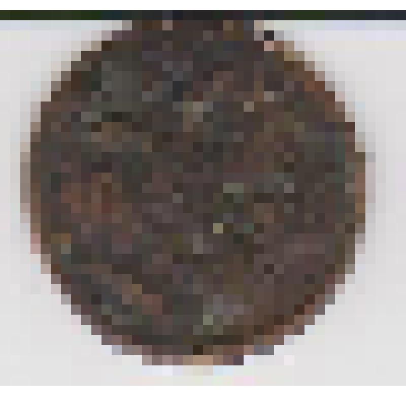 Монета. Денга (1/2 копейка) 1731  г. Россия