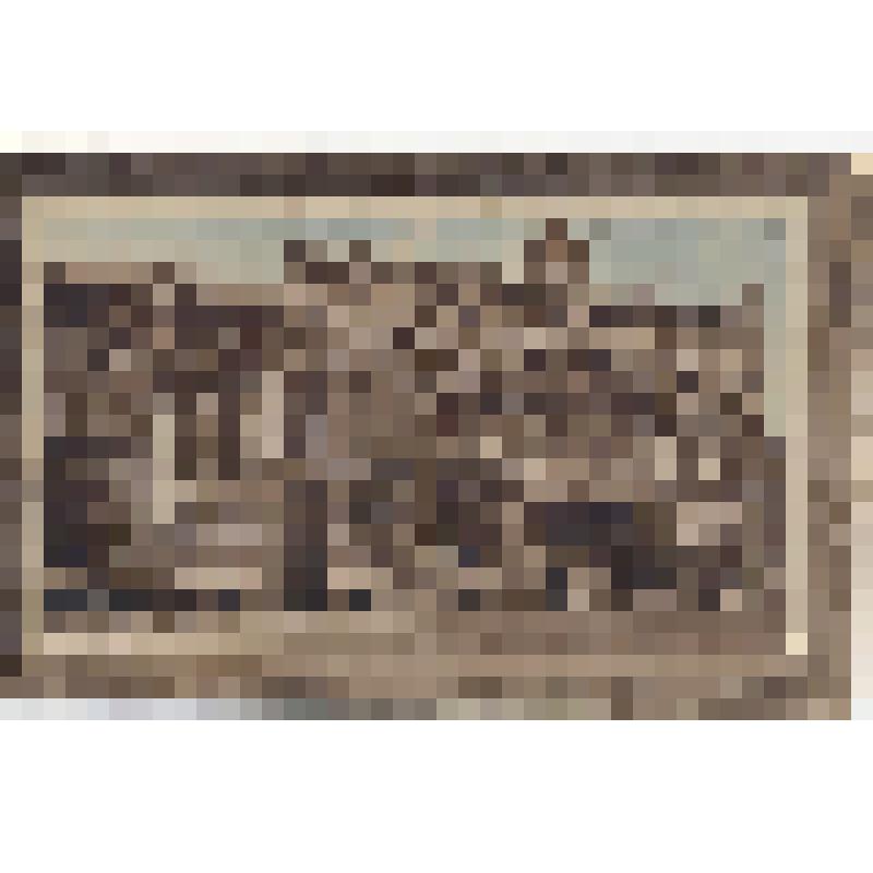 Почтовая карточка  «№20. Царицын н/В. 4 –ая женская гимназия»