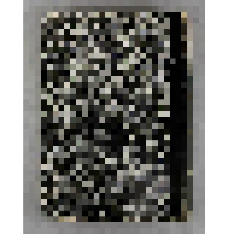 Конволют. Вестник изящных искусств. Т.1. Вып.I-II /Издаваемый при Имп. Академии художеств под ред. А.И.Сомова.- Спб.: Типогр. К.К.Ретгера, Типогр. А.Каспари, 1883.-