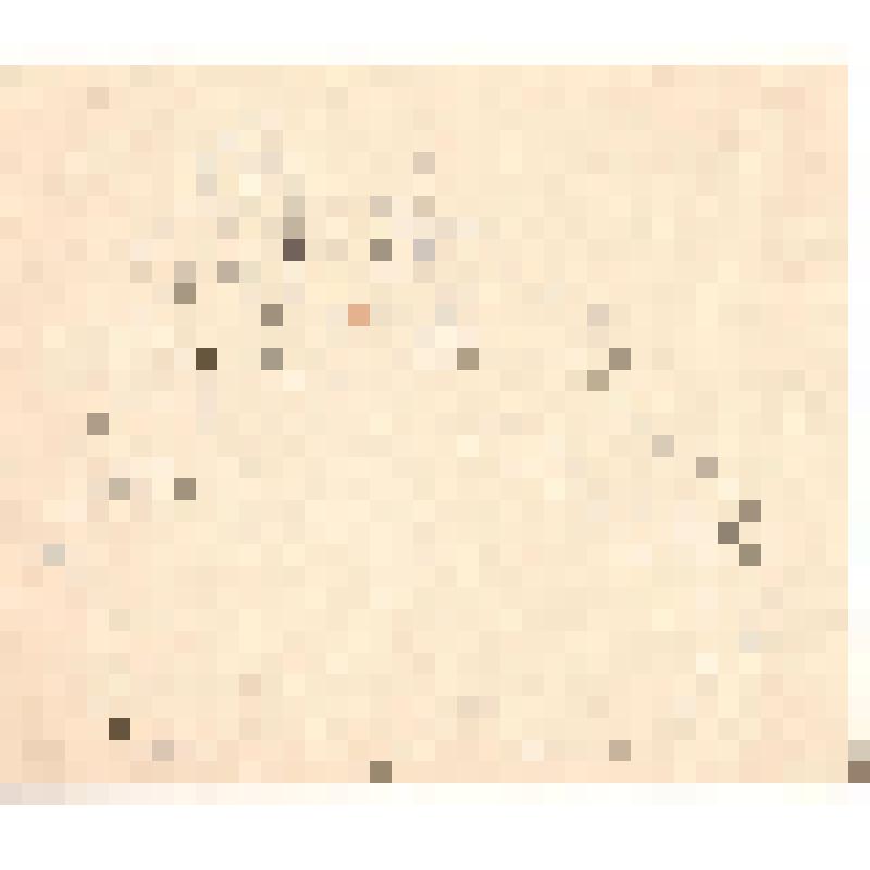 Рисунок «Воевода. Мицкевич»