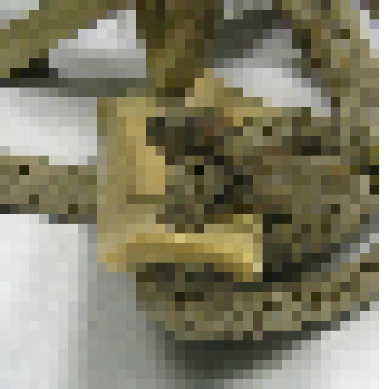 Пластина нащечная