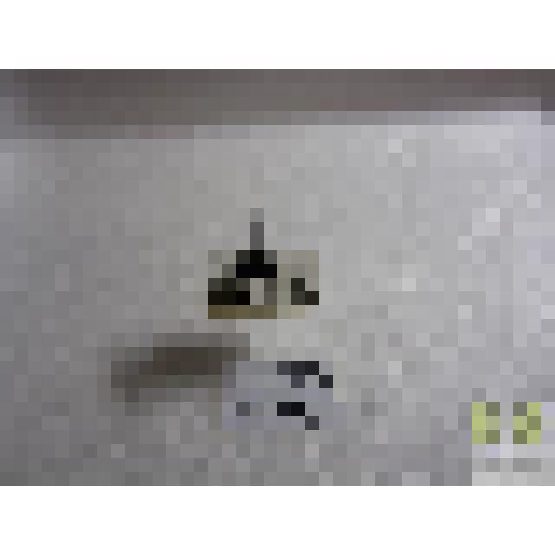 Тускляк неузнанный (Amara praetermissa C. Sahlb.)