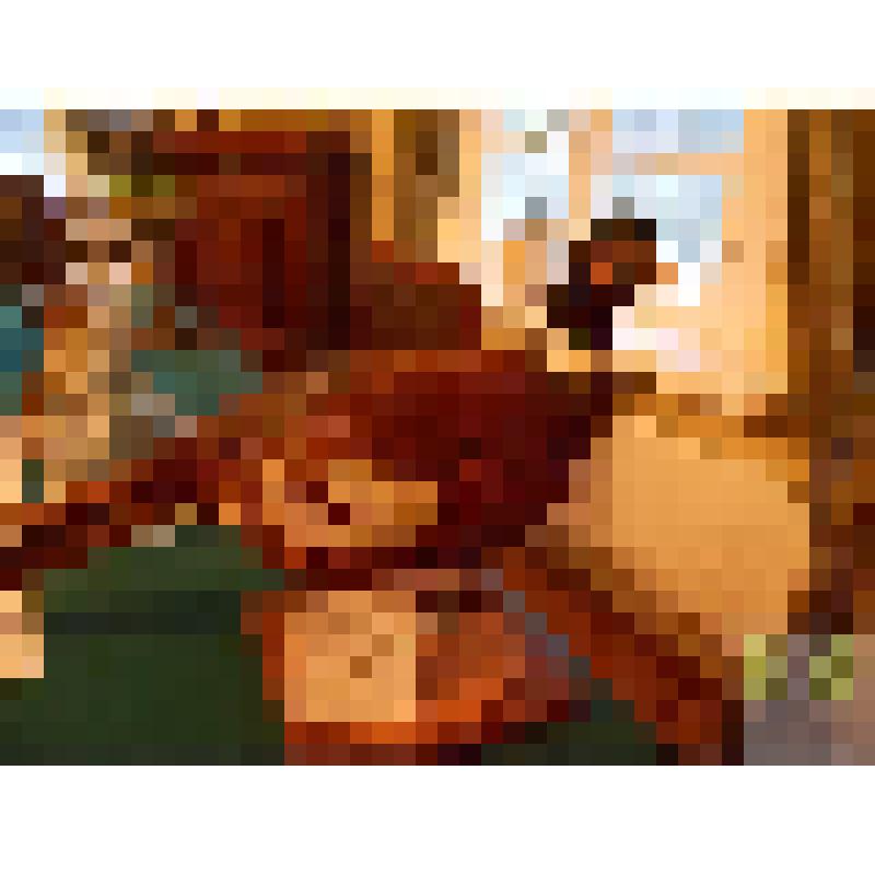 Фазан (Phasianus colchicus)