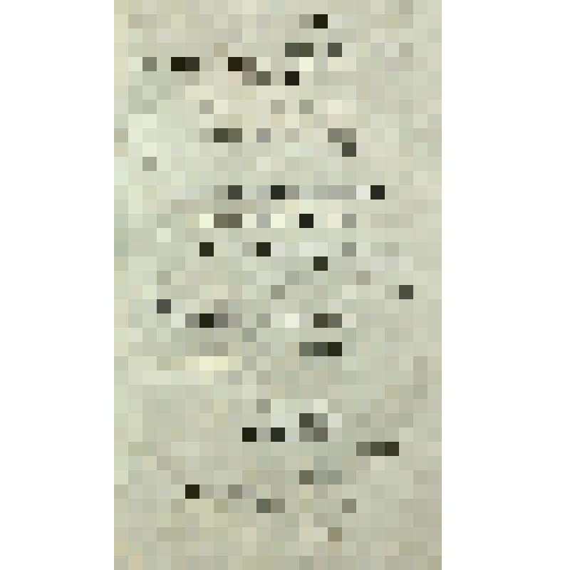 Книга. Часть II. Собрание поучительных слов, в разные времена проповедованных Святейшаго Правительствующаго Синода первенствующим членом Амвросием, митрополитом Новогородским и Санктпетербургским, Свято-Троицкия Александроневския лавры священно-архимандри