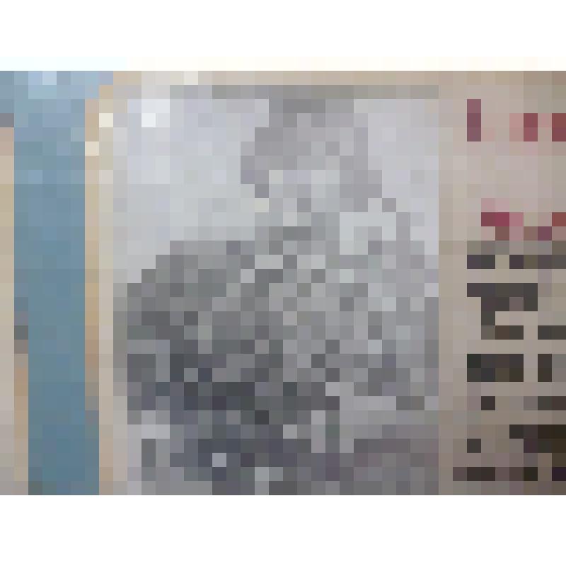 Фотопортрет
Ананьина  Михаила  Петровича,  фотокорреспондента  газеты  "Комсомольская  правда"