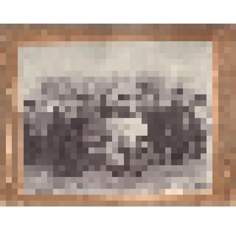 Фото. Группа участников Революционного движения на Тереке. 1907-1908 гг