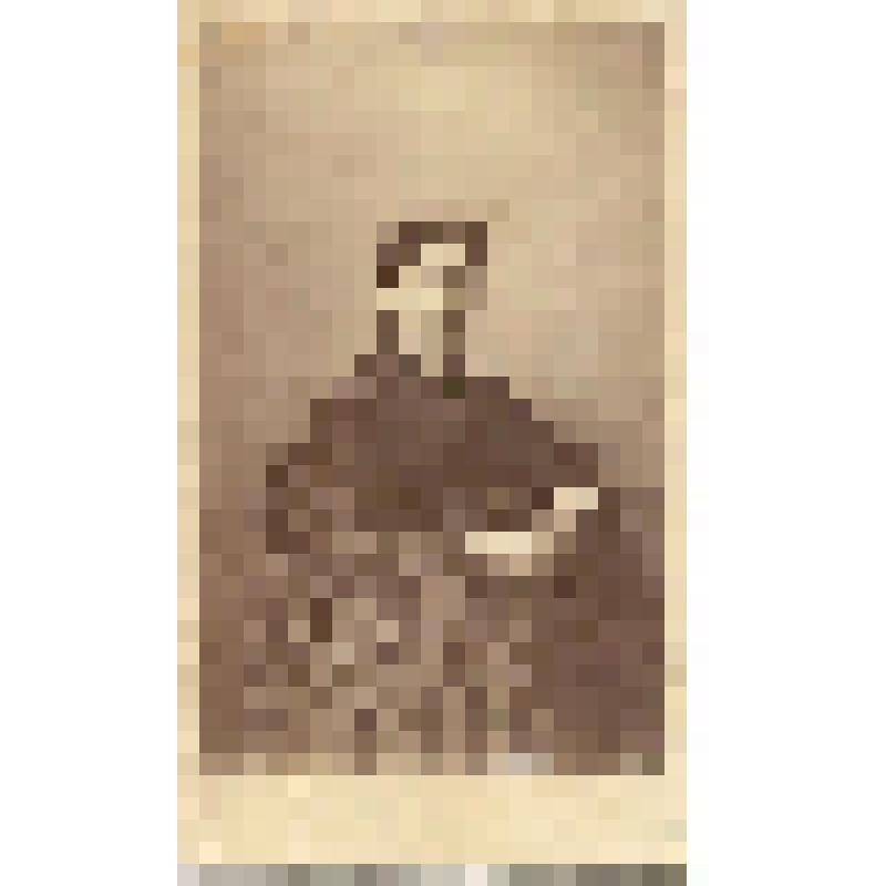 Портрет женщины средних лет в темном платье, с тёмной кружевной пелериной. на фирменном бланке. Фотография