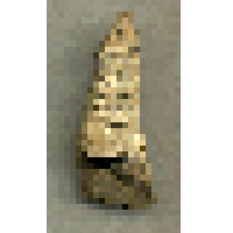 Фрагмент изделия