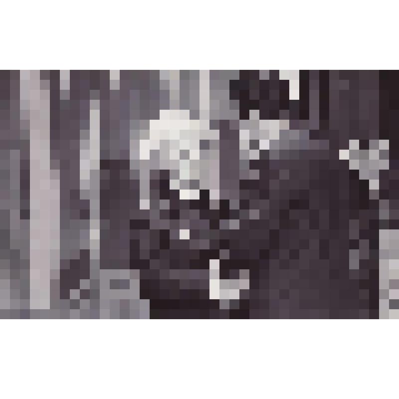 Фотография черно-белая. Награждение Сыздыковой Тамары Ивановны - сотрудника Братской милиции